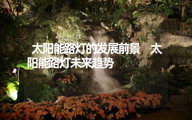 太阳能路灯的发展前景 太阳能路灯未来趋势